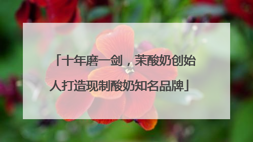 十年磨一剑，茉酸奶创始人打造现制酸奶知名品牌