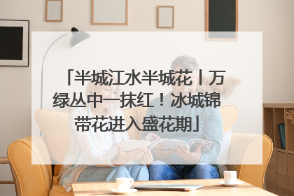 半城江水半城花丨万绿丛中一抹红！冰城锦带花进入盛花期