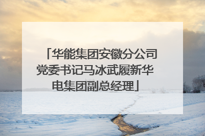 华能集团安徽分公司党委书记马冰武履新华电集团副总经理