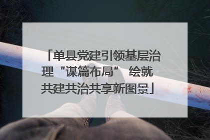单县党建引领基层治理“谋篇布局” 绘就共建共治共享新图景