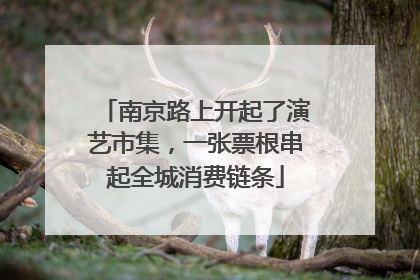 南京路上开起了演艺市集，一张票根串起全城消费链条
