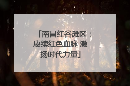 南昌红谷滩区：赓续红色血脉 激扬时代力量