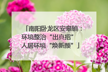 南阳卧龙区安皋镇：环境整治“出真招” 人居环境“焕新颜”