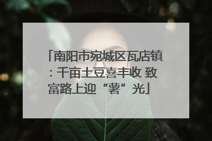 南阳市宛城区瓦店镇：千亩土豆喜丰收 致富路上迎“薯”光