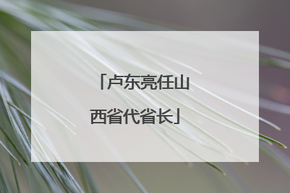 卢东亮任山西省代省长