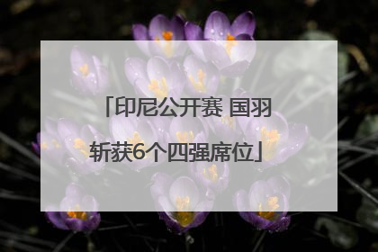 印尼公开赛 国羽斩获6个四强席位