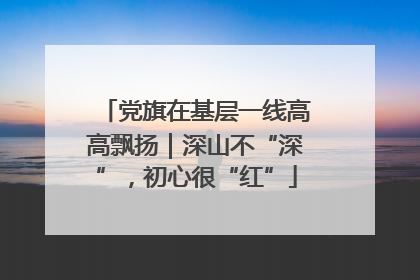 党旗在基层一线高高飘扬｜深山不“深”，初心很“红”