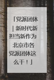 党派团体｜新时代新担当新作为 北京市各党派团体这么干！