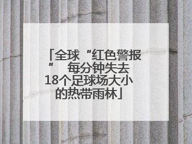 全球“红色警报”  每分钟失去18个足球场大小的热带雨林