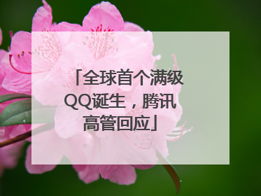 全球首个满级QQ诞生，腾讯高管回应