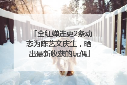 全红婵连更2条动态为陈艺文庆生，晒出最新收获的玩偶