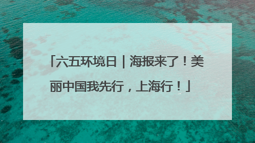 六五环境日｜海报来了！美丽中国我先行，上海行！