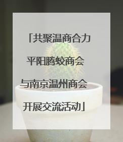 共聚温商合力 平阳腾蛟商会与南京温州商会开展交流活动
