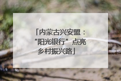 内蒙古兴安盟：“阳光银行”点亮乡村振兴路
