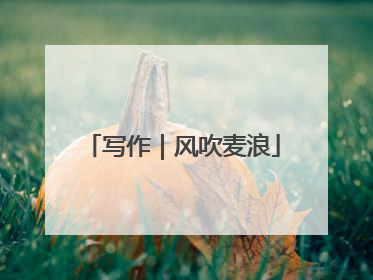 写作｜风吹麦浪