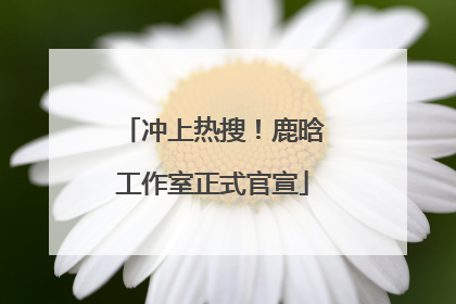 冲上热搜！鹿晗工作室正式官宣