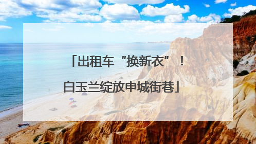 出租车“换新衣”！白玉兰绽放申城街巷