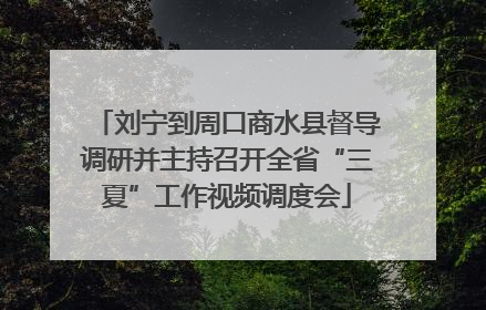 刘宁到周口商水县督导调研并主持召开全省“三夏”工作视频调度会