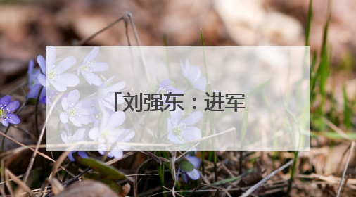 刘强东：进军外卖前就告诉了王兴，想邀他面对面喝酒交流