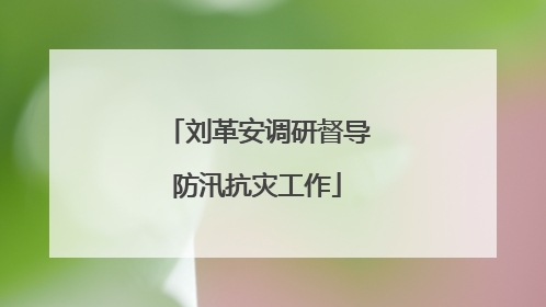 刘革安调研督导防汛抗灾工作