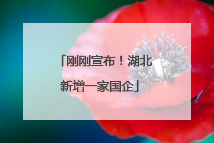 刚刚宣布！湖北新增一家国企