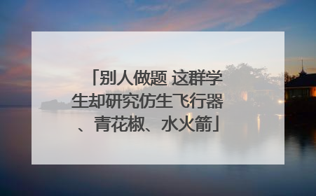 别人做题 这群学生却研究仿生飞行器、青花椒、水火箭