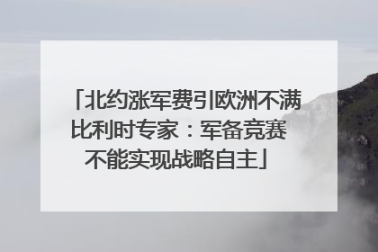 北约涨军费引欧洲不满 比利时专家：军备竞赛不能实现战略自主