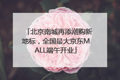 北京南城再添潮购新地标，全国最大京东MALL端午开业