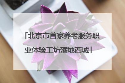 北京市首家养老服务职业体验工坊落地西城