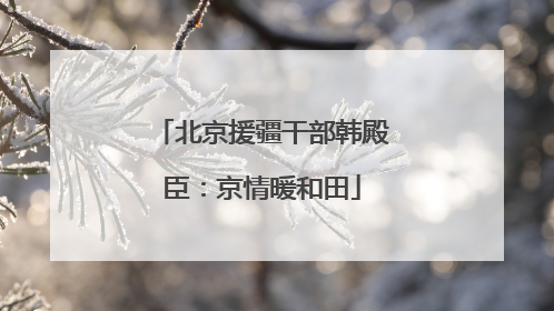 北京援疆干部韩殿臣：京情暖和田