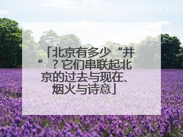 北京有多少“井”？它们串联起北京的过去与现在、烟火与诗意