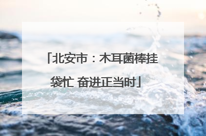 北安市：木耳菌棒挂袋忙 奋进正当时