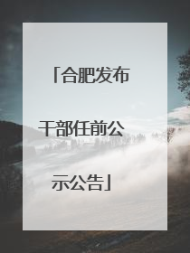 合肥发布干部任前公示公告