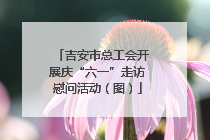 吉安市总工会开展庆“六一”走访慰问活动（图）