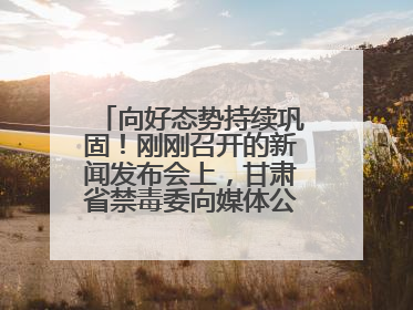 向好态势持续巩固！刚刚召开的新闻发布会上，甘肃省禁毒委向媒体公布三年禁毒工作“成绩单”
