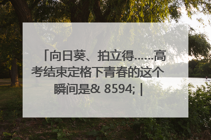 向日葵、拍立得……高考结束定格下青春的这个瞬间是& 8594;｜2025四川高考