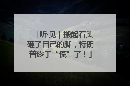 听·见｜搬起石头砸了自己的脚，特朗普终于“慌”了！