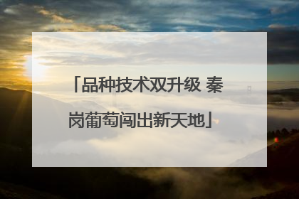 品种技术双升级 秦岗葡萄闯出新天地