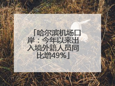 哈尔滨机场口岸：今年以来出入境外籍人员同比增49%