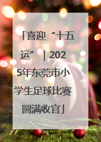 喜迎“十五运”｜2025年东莞市小学生足球比赛圆满收官
