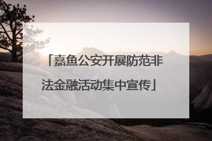 嘉鱼公安开展防范非法金融活动集中宣传