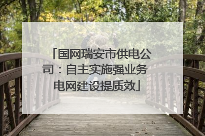 国网瑞安市供电公司：自主实施强业务 电网建设提质效