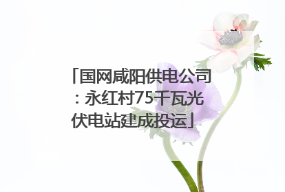 国网咸阳供电公司：永红村75千瓦光伏电站建成投运
