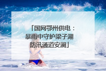 国网鄂州供电：暴雨中守护梁子湖防汛通道安澜