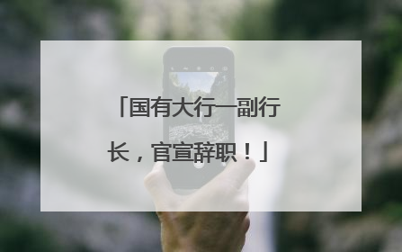 国有大行一副行长，官宣辞职！
