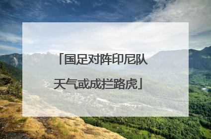 国足对阵印尼队 天气或成拦路虎