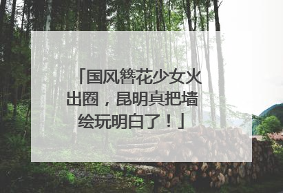 国风簪花少女火出圈，昆明真把墙绘玩明白了！