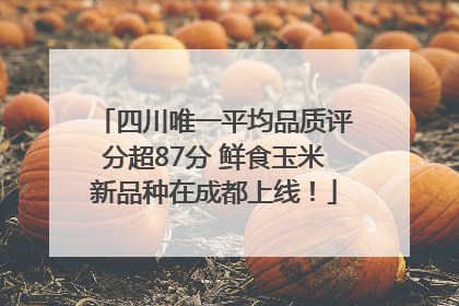 四川唯一平均品质评分超87分 鲜食玉米新品种在成都上线！