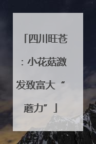 四川旺苍：小花菇激发致富大“蘑力”