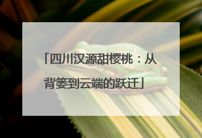 四川汉源甜樱桃：从背篓到云端的跃迁